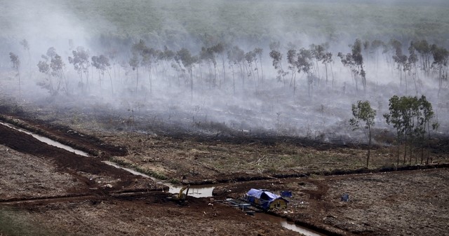 © Reuters. اندونيسيا تتوقع عودة حرائق الغابات في غضون أسابيع