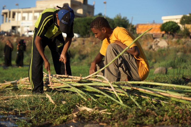 © Reuters. Abu Ahmad's sons prepare bamboo to build a temporary summer room within a refugee camp that was the summer camp for school children, in Zeyzoun