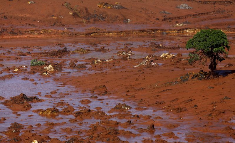 © Reuters. Distrito de Bento Rodrigues totalmente coberto por lama depois do rompimento da barragem do Fundão da mineradora Samarco, em Mariana (MG)