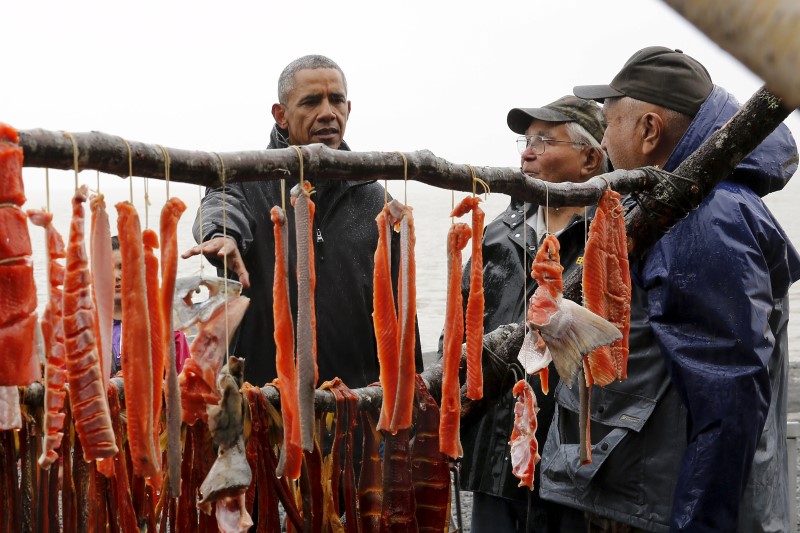 © Reuters. EEUU aprueba primer salmón genéticamente modificado para consumo humano