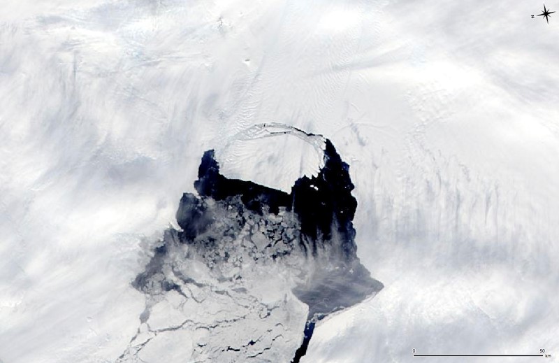 © Reuters. دراسة: جبال الجليد القطبية تلعب دورا في ابطاء الاحتباس الحراري