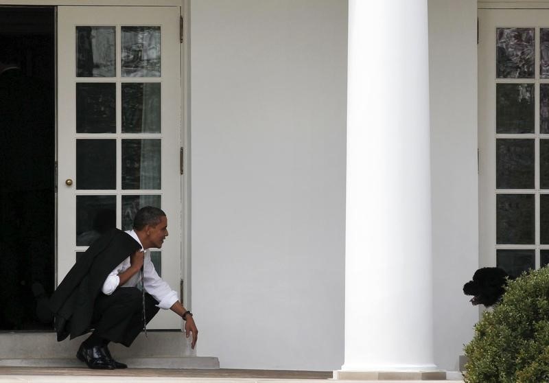 © Reuters. U.S. President Obama bends down to wait for his dog, Bo, to come towards him outside the Oval Office of the White House in Washington