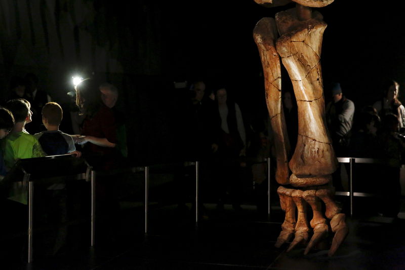 © Reuters. People stand near the skeleton cast of a titanosaur during a media preview at the American Museum of Natural History in New York