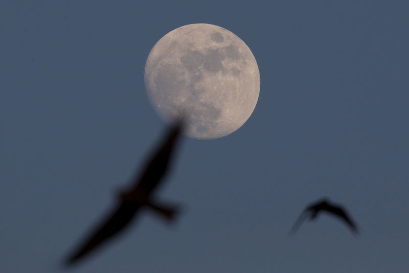 © Reuters. China enviará una sonda al lado oscuro de la luna en 2018