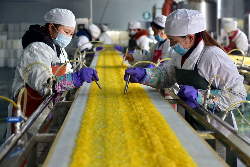 © Reuters. Operaie a lavoro in una fabbrica alimentare cinese a Yichang