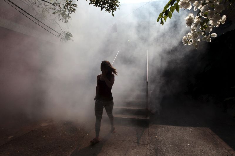 © Reuters. OMS advierte de la propagación del Zika por el continente americano