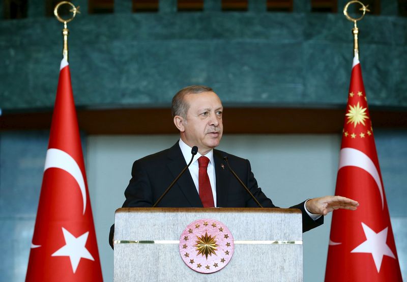 © Reuters. Turkey's President Tayyip Erdogan addresses the audience during a meeting in Ankara