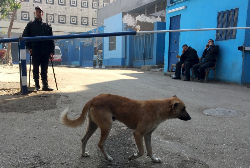 © Reuters. A dog walks pass as police stand guard in front of a morgue where the body of an Italian Giulio Regeni is kept in Cairo