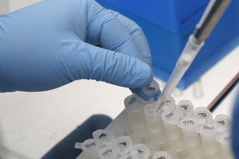 © Reuters. A medical researcher works on results of tests for preventing the spread of the Zika virus and other mosquito-borne diseases at the Gorgas Memorial institute for Health Studies laboratory in Panama City