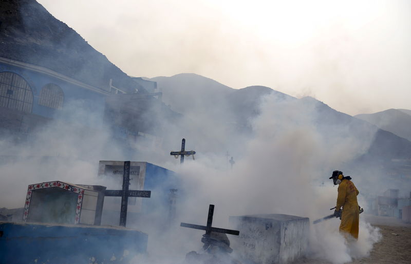 © Reuters. File photo of a health worker carrying out fumigation as part of preventive measures against the Zika virus and other mosquito-borne diseases at the cemetery of Carabayllo on the outskirts of Lima