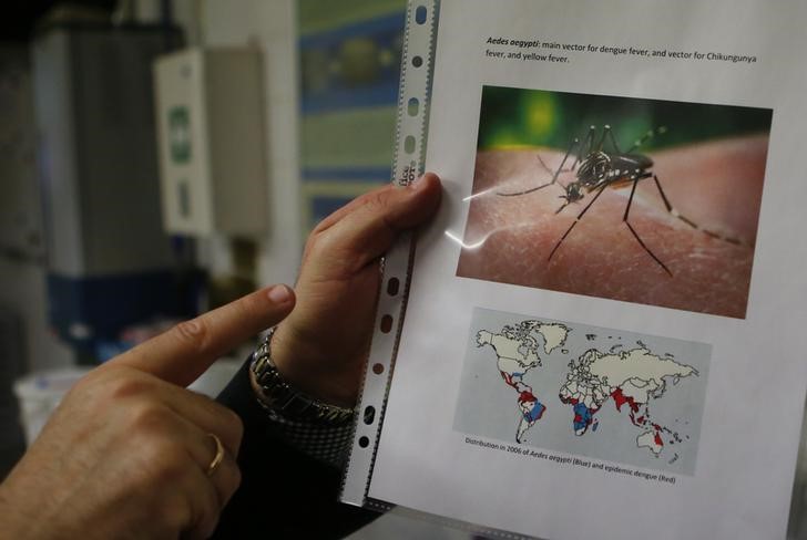 © Reuters. Zika lleva a 38% de empresas de EEUU a dejar que trabajadores pospongan viajes