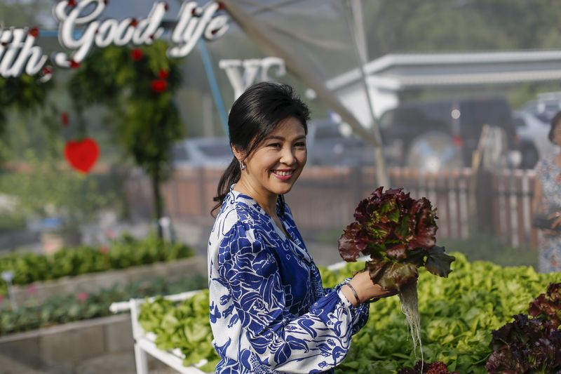 © Reuters. Ousted former Thai PM Yingluck Shinawatra holds up a head of lettuce from her vegetable garden while she receives foreign media at her house in Bangkok