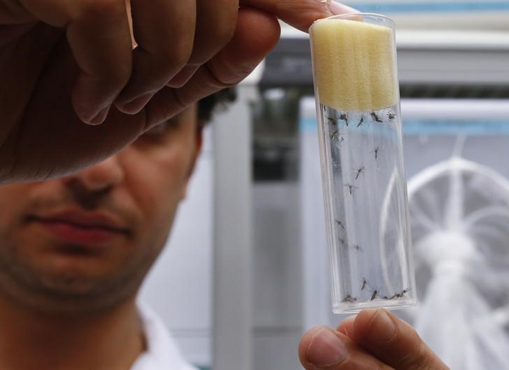 © Reuters. Cientista mostra mosquitos Aedes aegypti dentro de laboratório da Agência Internacional de Energia Atômica em Seibersdorf, na Áustria