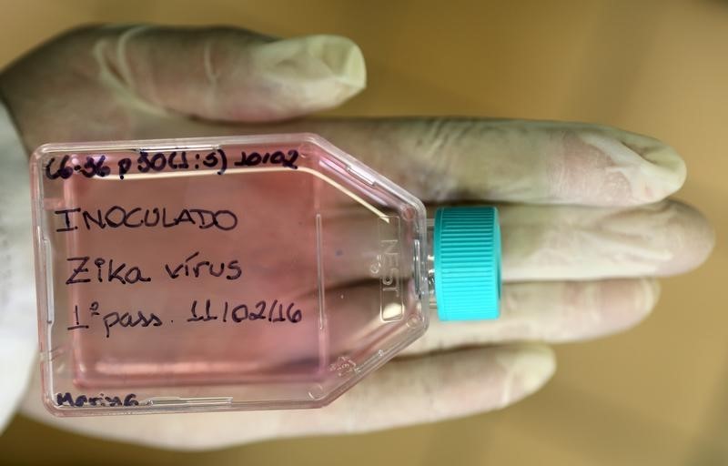 © Reuters. Biólogo exibe células do mosquito Aedes inoculado com Zika vírus em laboratório da Unicamp