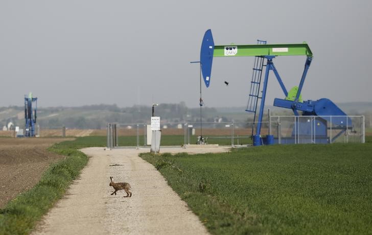 © Reuters. Станок-качалка компании OMV на нефтяном месторождении в Австрии