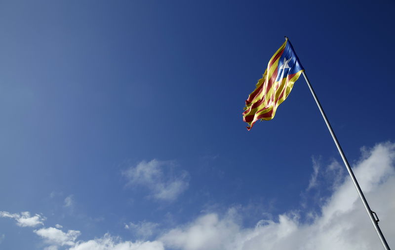 © Reuters. An "estelada" (Catalan separatist flag) hangs from a pole in Cabrera de Mar, north of Barcelona