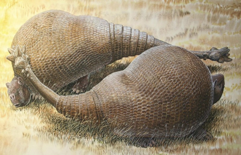 © Reuters. Handout photo of an artist's rendering of armadillo-like creatures known as Doedicurus