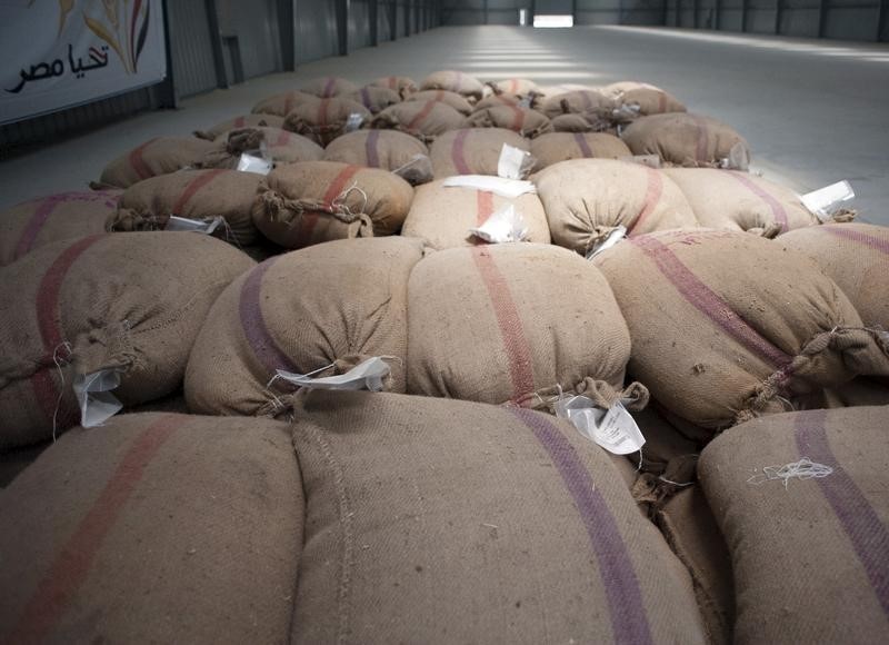 © Reuters. مصر تشتري 300 ألف طن من القمح في مناقصة