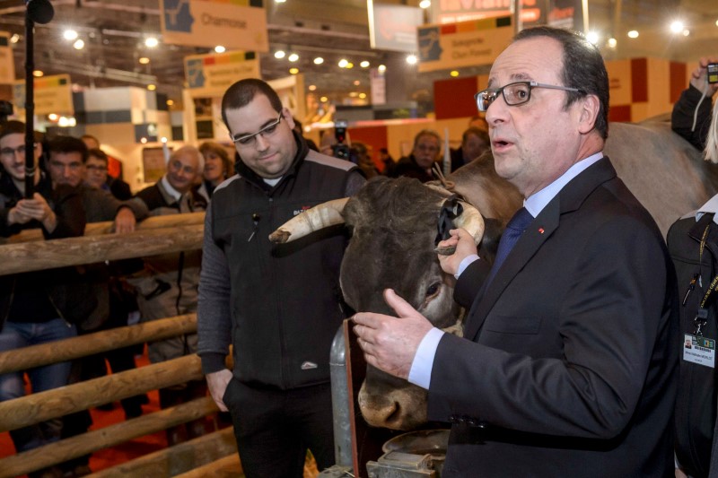 © Reuters. FRANÇOIS HOLLANDE AU SALON DE L'AGRICULTURE