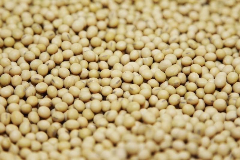 © Reuters. MONSANTO REVOIT À LA BAISSE SES PRÉVISIONS ANNUELLES