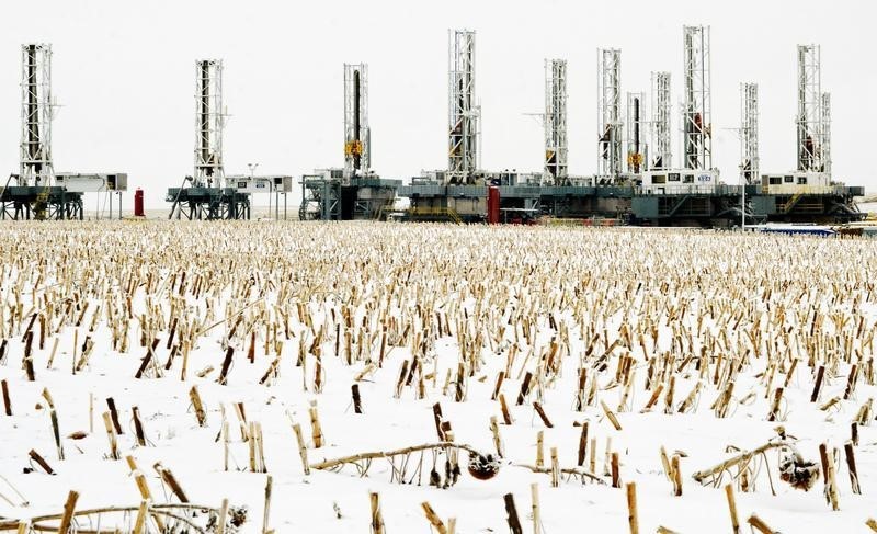 © Reuters. Sunflowers stalks punctuate the snow in a field near dormant oil drilling rigs which have been stacked in Dickinson, North Dakota