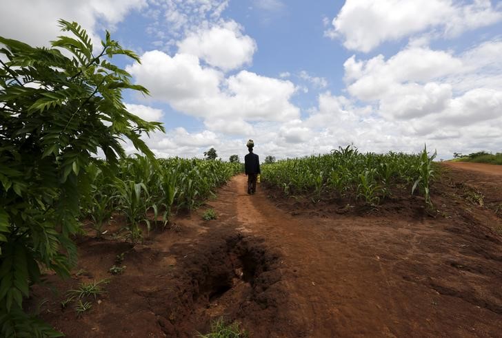 © Reuters. Homem do Malaui carrega alimento distribuído pelo Programa Mundial de Alimentos em vilarejo de Mzumazi