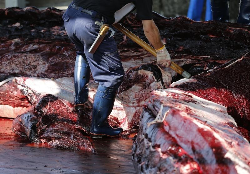 © Reuters. أسطول اليابان لصيد الحيتان يعود بحصيلة 333 حوتا