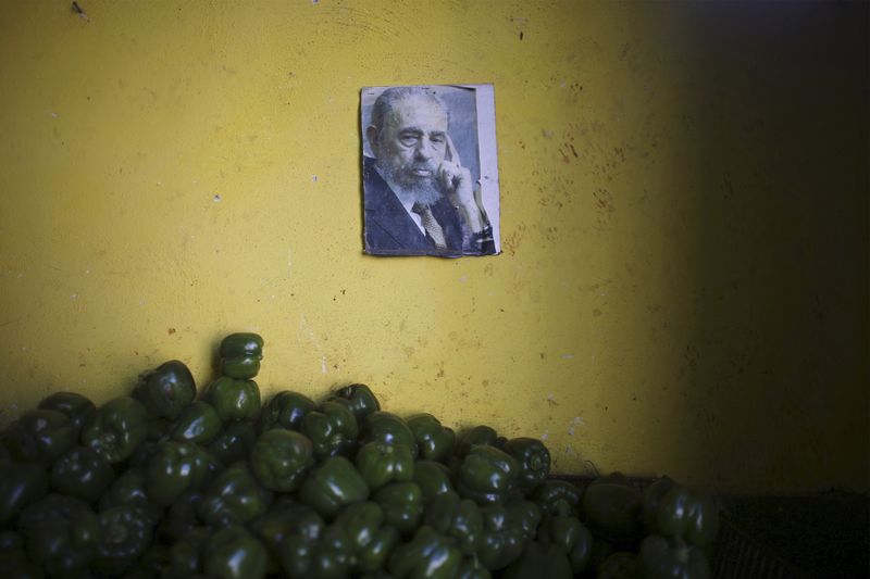 © Reuters. A photograph of Cuba's former President Fidel Castro decorates a wall inside a state-run market in Havana