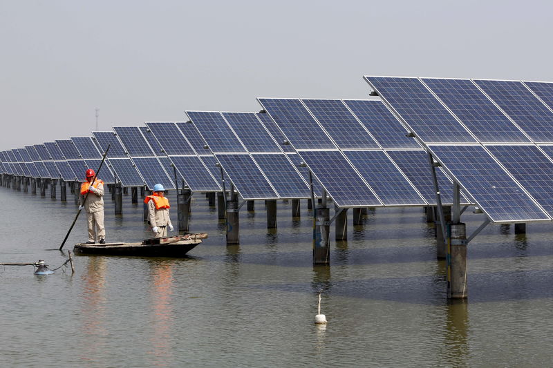 © Reuters. File photo of employees rowing a boat as they examine solar panel boards at a pond in Lianyungang