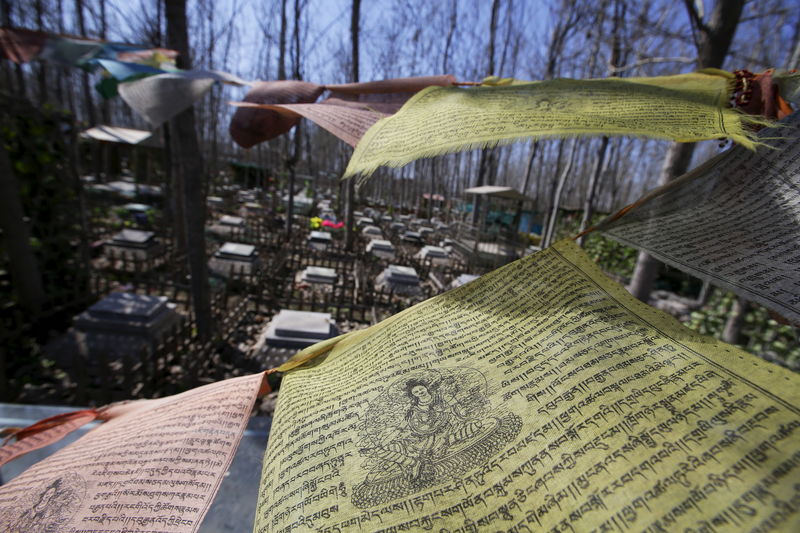 © Reuters. The Wider Image: China's pet cemetery 