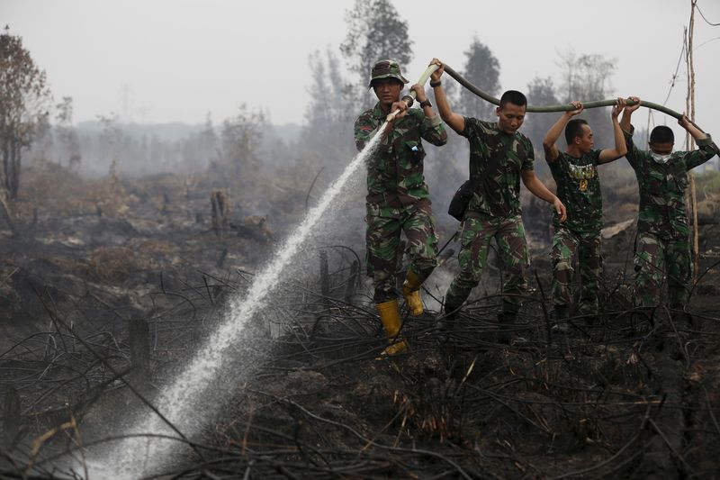 © Reuters. Indonesian soldiers spray water on peatland fire in Pulang Pisau regency east of Palangkaraya, Central Kalimantan, Indonesia 