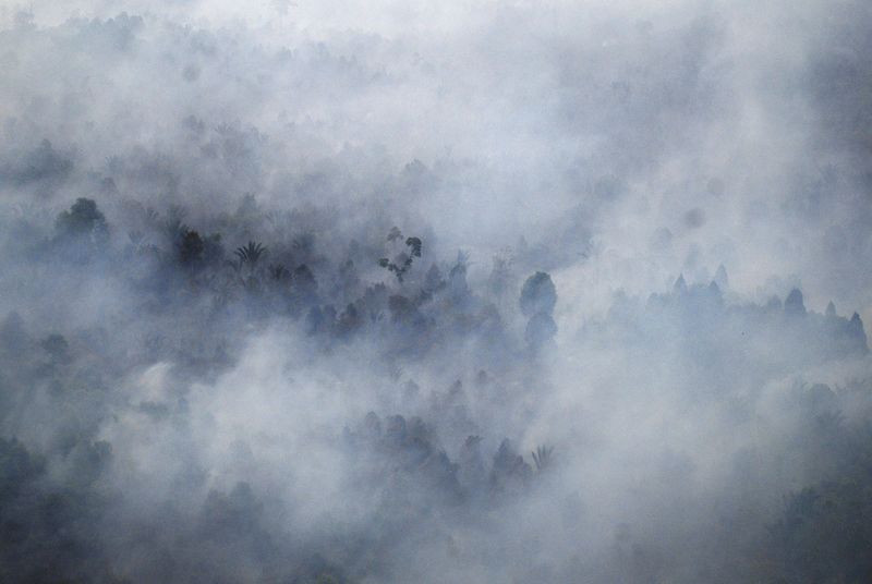 © Reuters. وكالة لإخماد الحرائق تقف مكتوفة الأيدي مع اندلاع حرائق غابات باندونيسيا