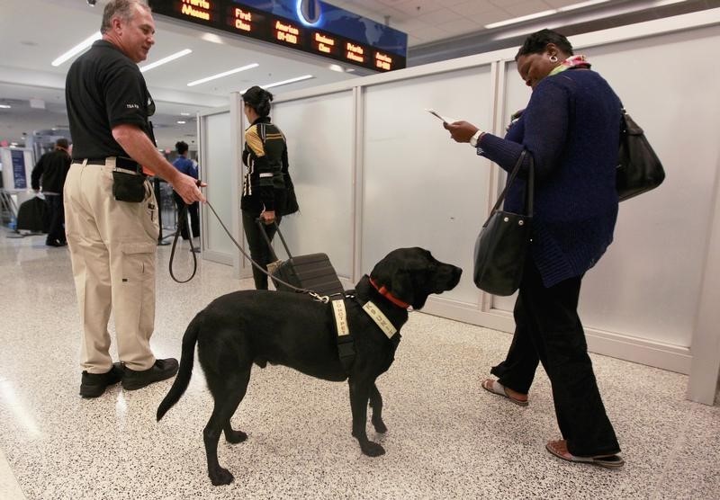 © Reuters. Transportation Security Administration behavior detection officer Hurley directs dog to conduct screenings of airline passengers at Miami International Airport in Miami