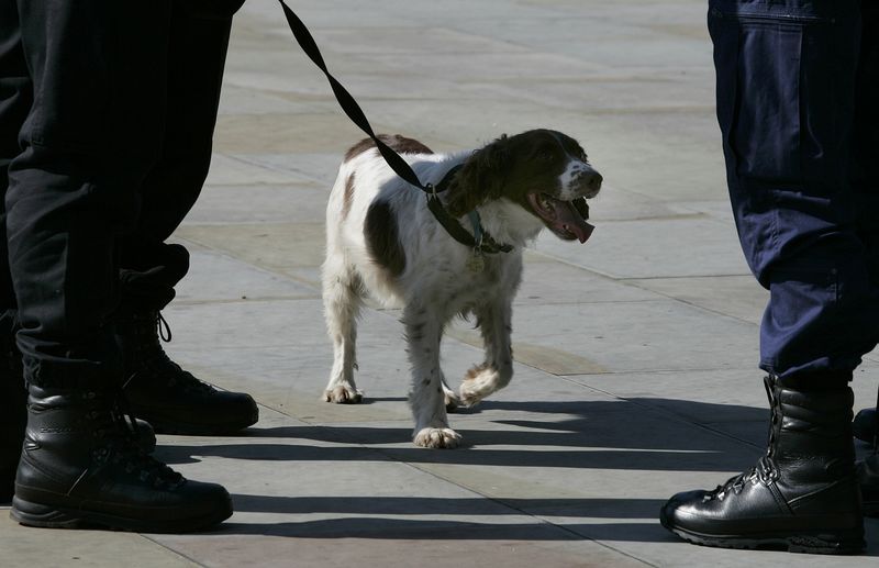 © Reuters. Police dog handler talks with colleague as sniffer dog waits outside GMEX (Greater Manchester Exhibition centre) in Manchester northern Englan