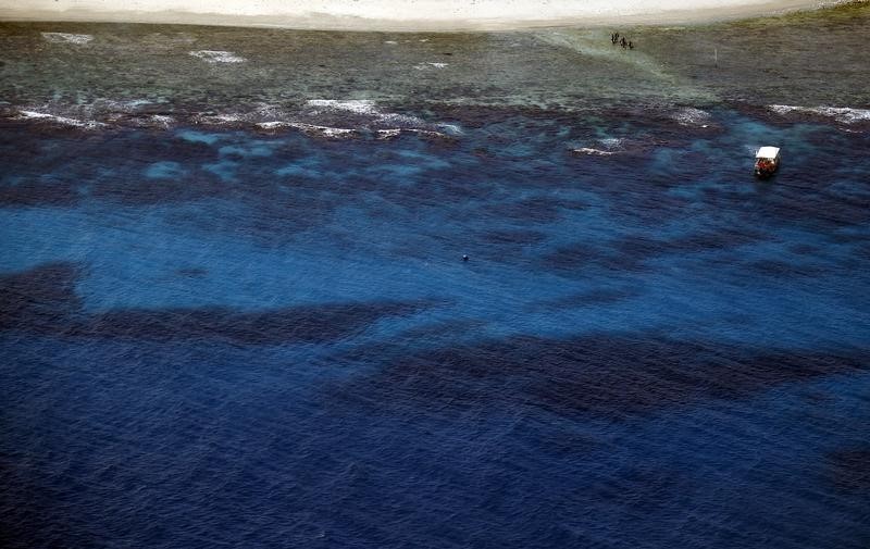 © Reuters. La mitad de la Gran Barrera de Coral de Australia está "muerta o muriendo