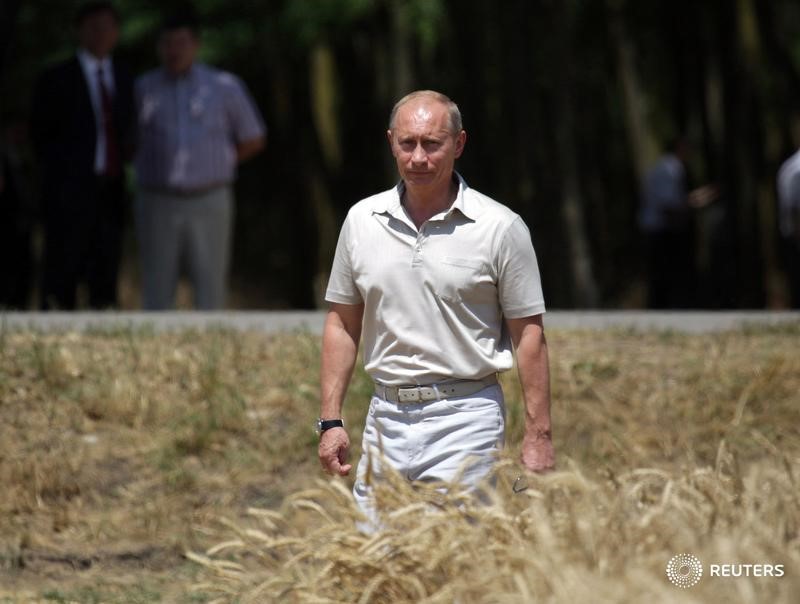 © Reuters. Владимир Путин на поле фермы "Агрокомплекс" в Краснодарском крае
