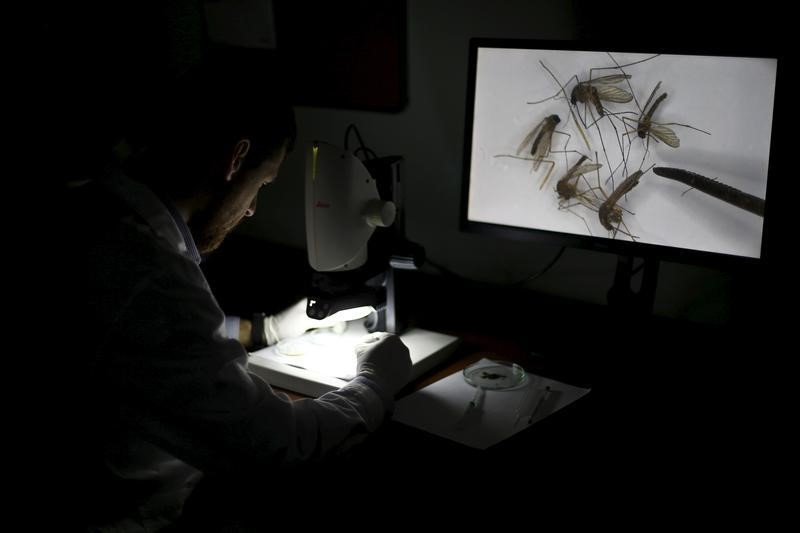 © Reuters. A worker uses an electronic microscope to observe mosquitoes at a laboratory where biochemists are developing a possible Zika-repellent clothes detergent additive  in Santiago