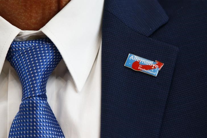 © Reuters. A badge of AfD is seen on the jacket of Junge, candidate of the anti-immigration party Alternative for Germany in Rhineland-Palatinate at a news conference in Berlin