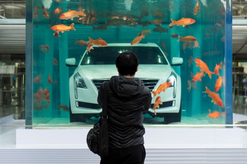 © Reuters. A man looks at a Cadillac CT6 displayed inside a fish tank during an event promoting the car's environmental-friendly features, in Shanghai