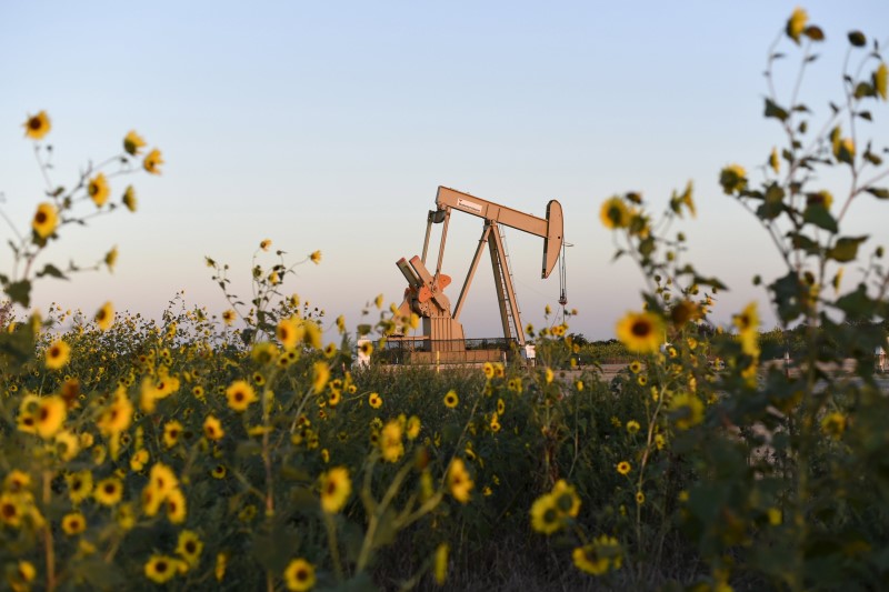 © Reuters. File photo of a pump jack is seen near sunflowers in Guthrie, Oklahoma