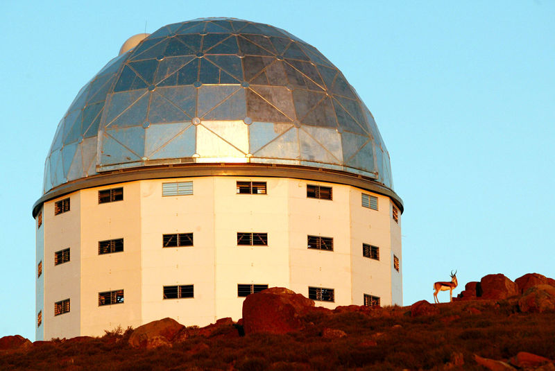 © Reuters. A lone Springbok stands beside the building housing the Southern African large telescope (SALT), near the small town  of Sutherland in South Africa's arid Karoo region