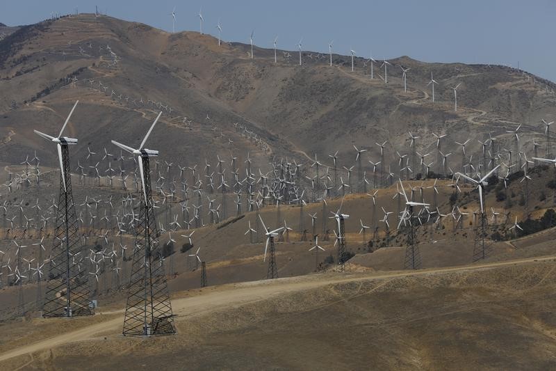 © Reuters. أمريكا تقترح منح مزارع الرياح تصاريح لمدة 30 عاما لقتل النسور
