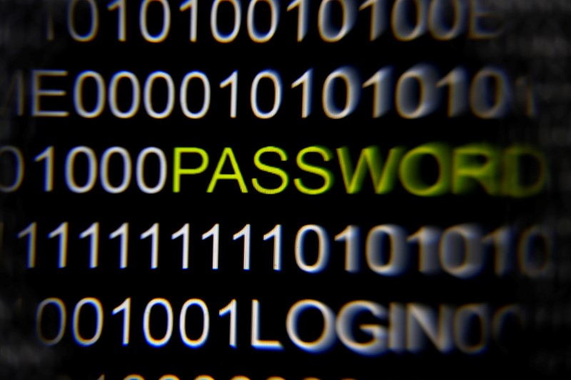 © Reuters. A magnifying glass is held in front of the word 'password' on a computer screen in this picture illustration taken in Berlin