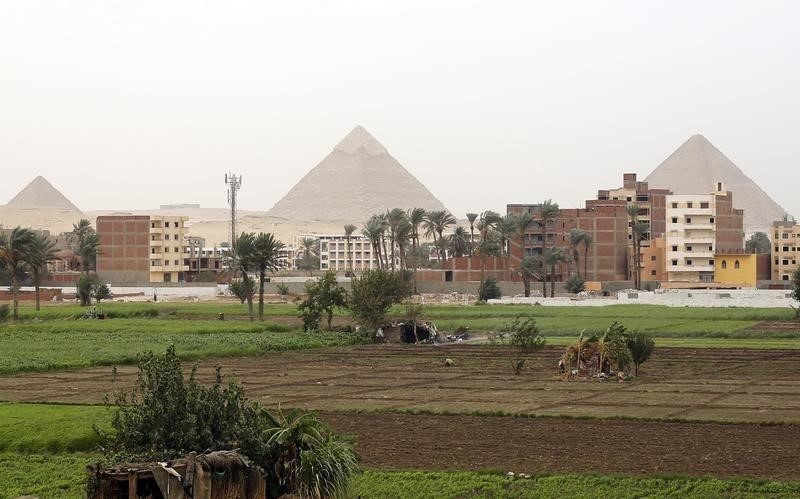© Reuters. مصر تنوي استيراد 80 ألف طن من الأرز "فورا" قبل شهر رمضان
