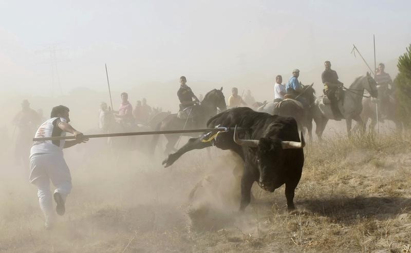 © Reuters. La Junta de Castilla y León prohíbe matar al Toro de la Vega
