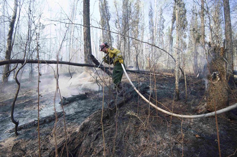 © Reuters. File photo of a firefighter hosing down hotspots in the Parsons Creek area of Fort McMurray