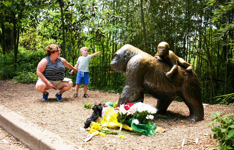 © Reuters. A mother and her child visit a bronze statue of a gorilla outside the Cincinnati Zoo's Gorilla World exhibit in Cincinnati, Ohio