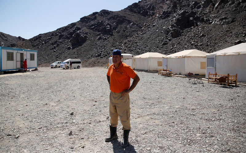 © Reuters. An Egyptian geologist looks on at Hamama Camp site in the Eastern Desert near the southern province of Luxor