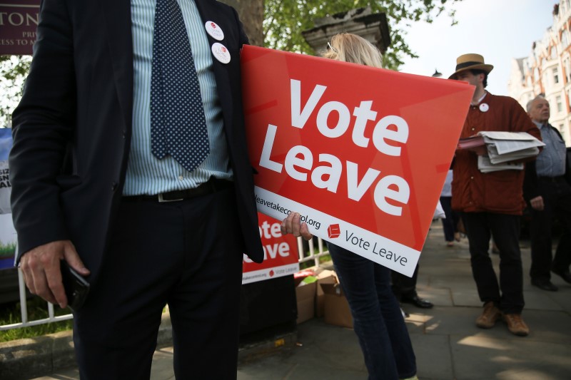 © Reuters. A supporter holds a banner during a Vote Leave event outside the Chelsea Flower Show in London