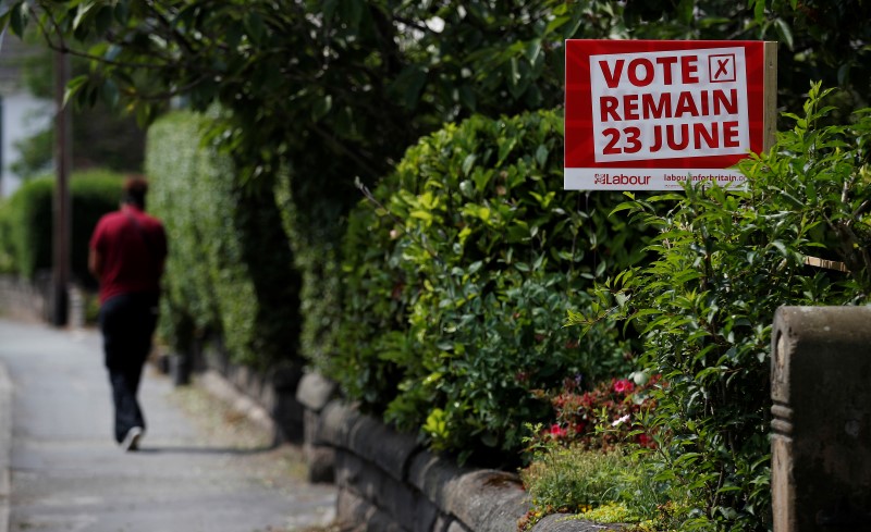 © Reuters. A woman walks past a vote remain sign in a hedge outside a house in Lymm